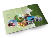 Các bước để thiết kế brochure hiệu quả