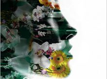 tq_design_web_design_website