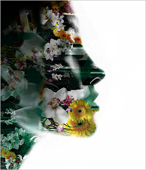 tq_design_web_design_website