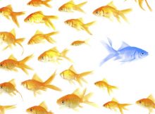 Lời khuyên cho doanh nghiệp khi không có sự khác biệt với đối thủ