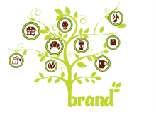 phat-trien-da-dang-hoa-san-pham-van-de-can-can-nhac-cua-thuong-hieu