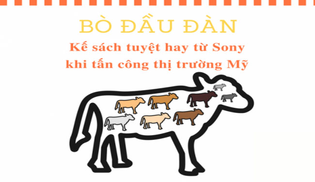 Sony: Yanagi và hành trình vang danh trên thị trường Mỹ