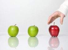 Thị trường riêng cho thường hiệu và thành công của Cariloha