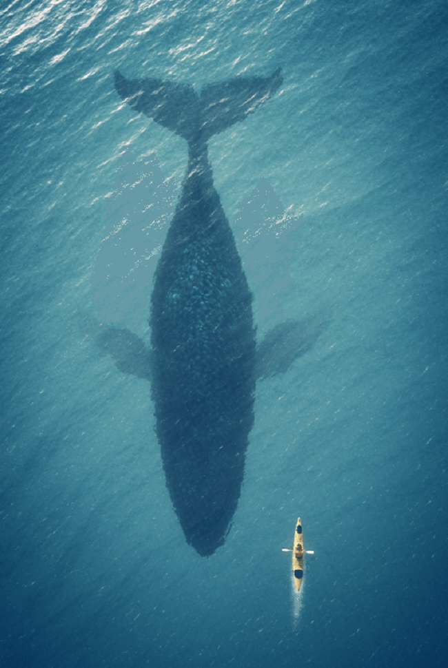 11 mẹo thiết kế đơn giản để tăng chất lượng hình ảnh trên mạng xã hội (Phần 1)