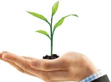 Học được gì từ văn hóa doanh nghiệp của Thế Giới Di Động?