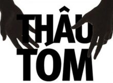 Thương hiệu Việt trước cái giá của mở cửa - Bài học từ Cầu Tre