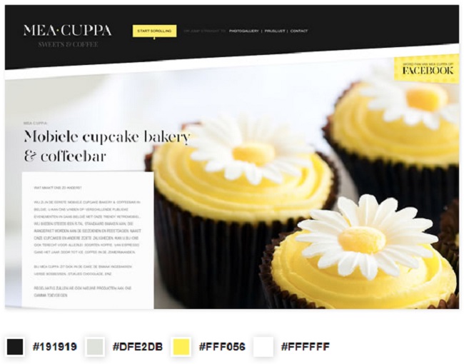 10 Ví dụ tuyệt vời về cách phối màu trong thiết kế website