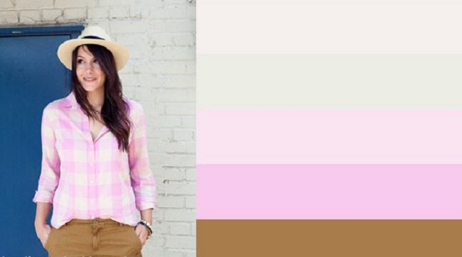 Lấy cảm hứng phối màu thiết kế từ đâu?