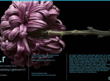 Từ hôm nay Adobe Lightroom được cập nhật phiên bản mới nhất