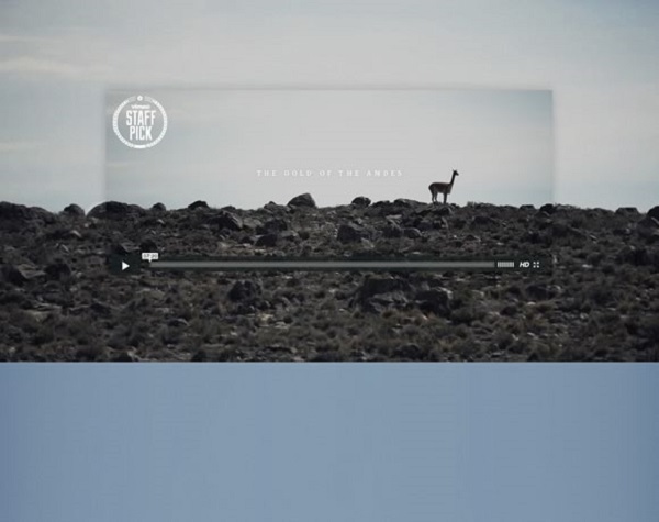 Top thiết kế web đơn giản nhưng ấn tượng nhất