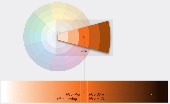 Màu sắc tác động đến tâm lý và hành vi của người mua tại cửa hàng