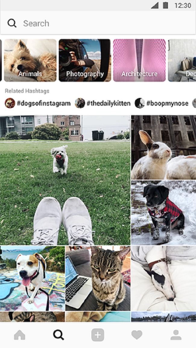 Khám phá thuật toán hiển thị của Instagram 