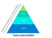 Khám phá Kim tự tháp ảnh hưởng trong Influencer Marketing