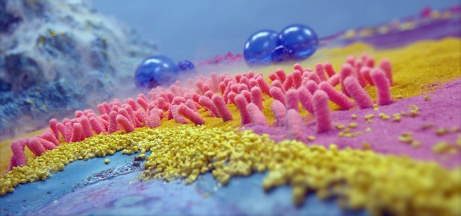 Sáng tạo cùng video quảng cáo đầy màu sắc của Lenovo