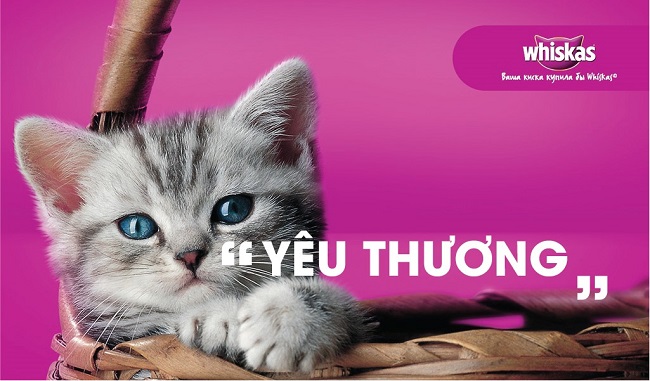 Muốn khách hàng hành động, hãy tác động đến 6 cảm xúc này của họ